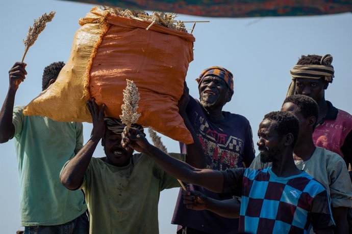 KASSALA, Dec. 12, 2025  -- Farmers carry sorghum in a sack in the Wad Al-Hilu area in Kassala State in eastern Sudan, Dec. 12, 2025. As the sorghum harvest began in eastern Sudan's Kassala State, farmers in the Wad Al-Hilu area found rare cause for joy am