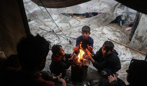 notibrasil sociedade