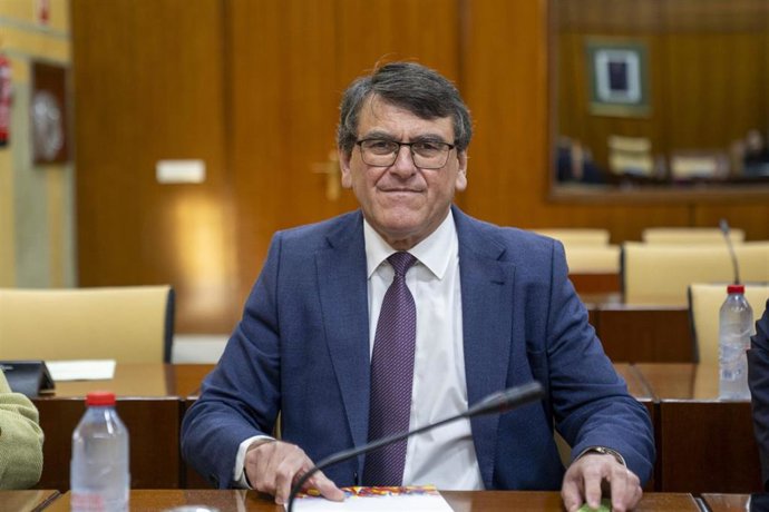 El diputado del Grupo Parlamentario Vox Andalucía, Rafael Segovia.