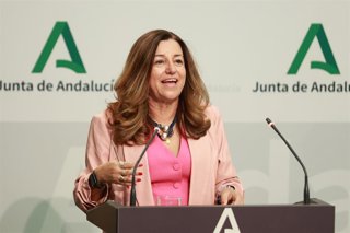 Archivo - La consejera de Desarrollo Educativo y Formación Profesional de la Junta de Andalucía, María del Carmen Castillo, interviene en la rueda de prensa. A 10 de noviembre de 2025, en Sevilla (Andalucía, España). 