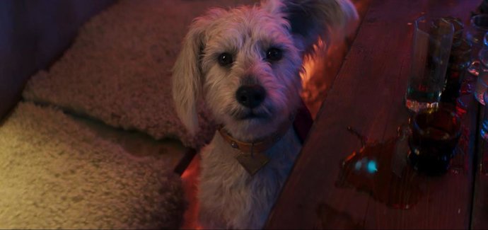 ¿Morirá Krypto En Supergirl? Esto Revela El Cómic En El Que Se Basa La Película De DC Studios