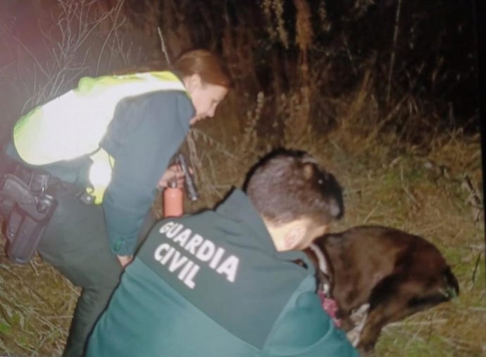 Guardia Civil y Bomberos rescatan a tres perros caídos a un barranco en la N-232 entre Torremontalbo y Cenicero
