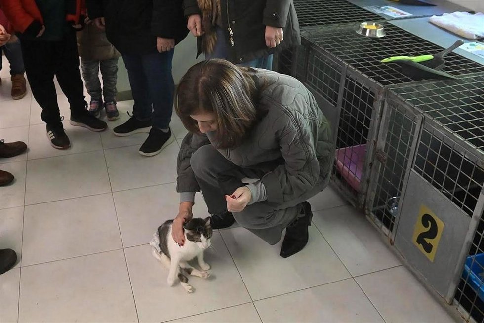 La conselleira de Medio Ambiente e Cambio Climático, Ángeles Vázquez, con un gato de Gatocan