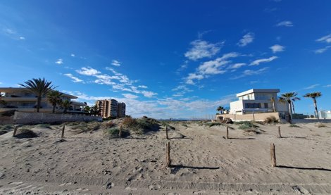 notibrasil política