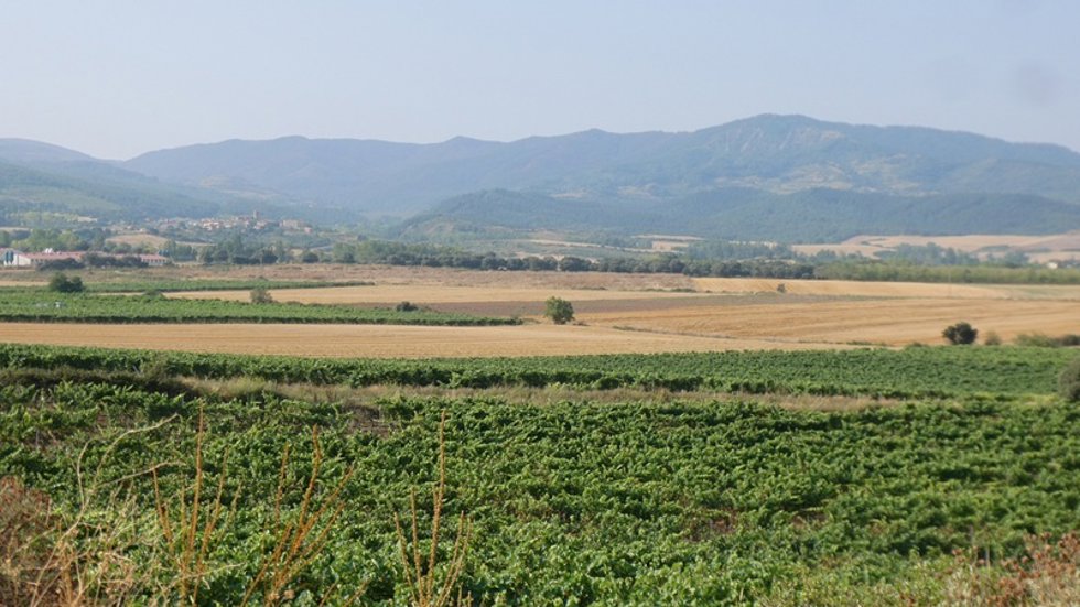 Paraje de Manjarrés