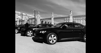 La empresa de licencias VTC Auro perdió 3,5 millones de euros en 2024 pese a ingresar un 27% más