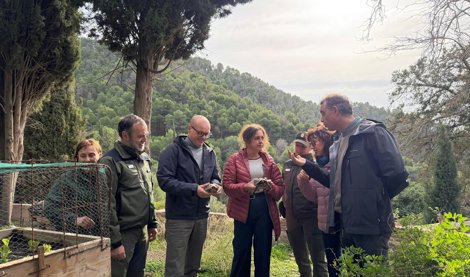 Es Andalucía - Málaga