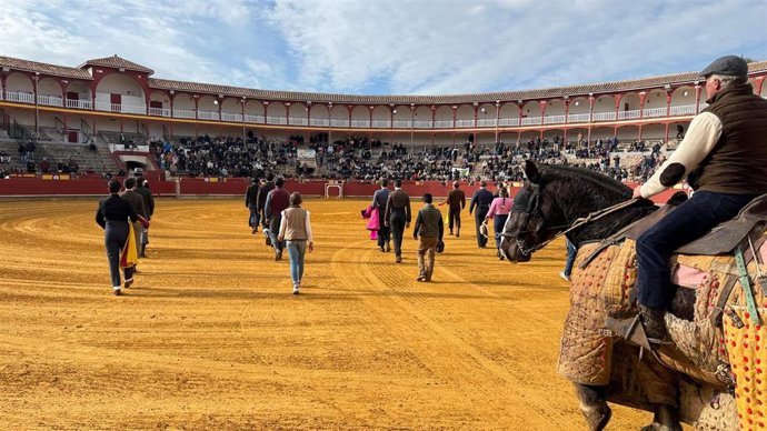 Tentadero en la plaza de toros de Ciudad Real.