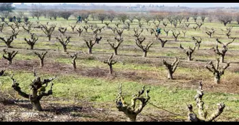 Agricultura abona más de 4,3 millones en ayudas de la PAC a Zonas con Limitaciones Naturales (ZLN)