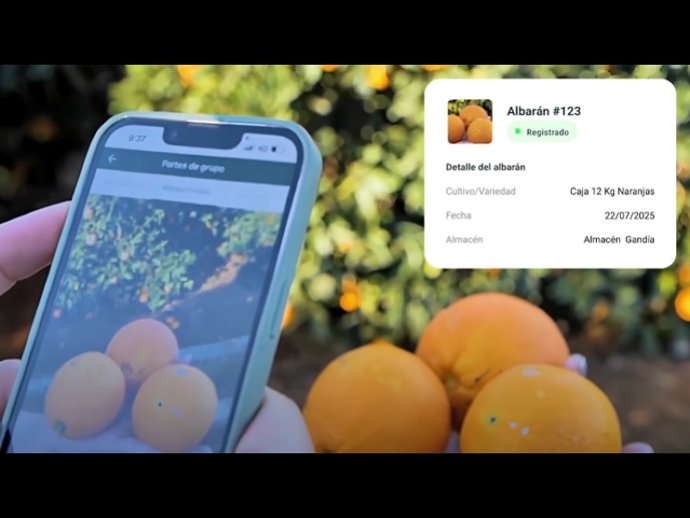 Software de la empresa