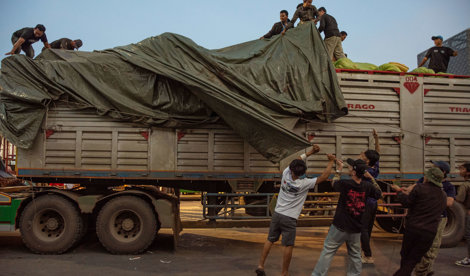 notibrasil sociedade