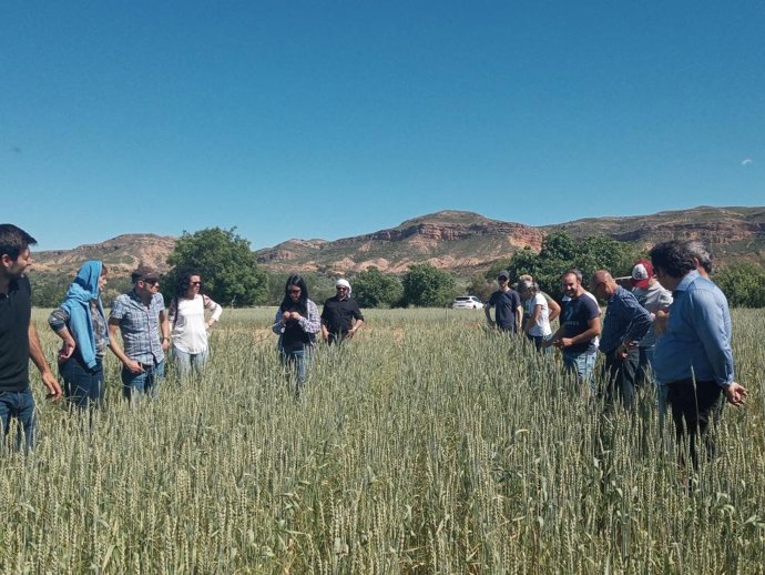 El proyecto FITE Red AgriFoodTe, impulsado por CITA Teruel, presenta sus resultados finales
