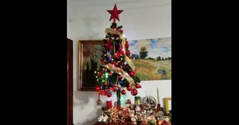 Bomberos de Madrid alertan sobre los riesgos de la decoración navideña en el hogar