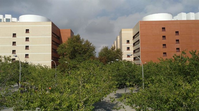 Archivo - Campus Tarongers