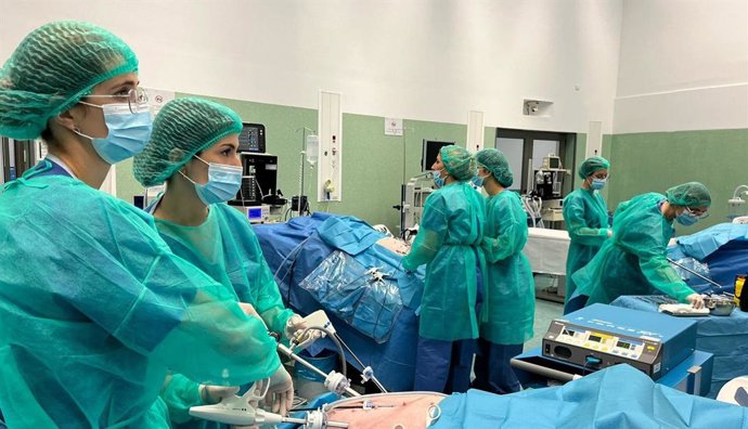 Archivo - Imagen del Centro de Simulación de Iavante en Granada recreando entornos asistenciales que permiten la formación en una gran diversidad de abordajes quirúrgicos.