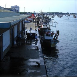 Puerto pesquero de Punta Umbría.