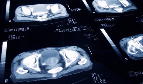 notibrasil sociedade