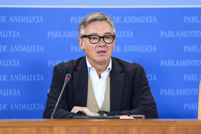 El portavoz del Grupo Vox en Andalucía, Manuel Gavira, en una imagen de archivo. 