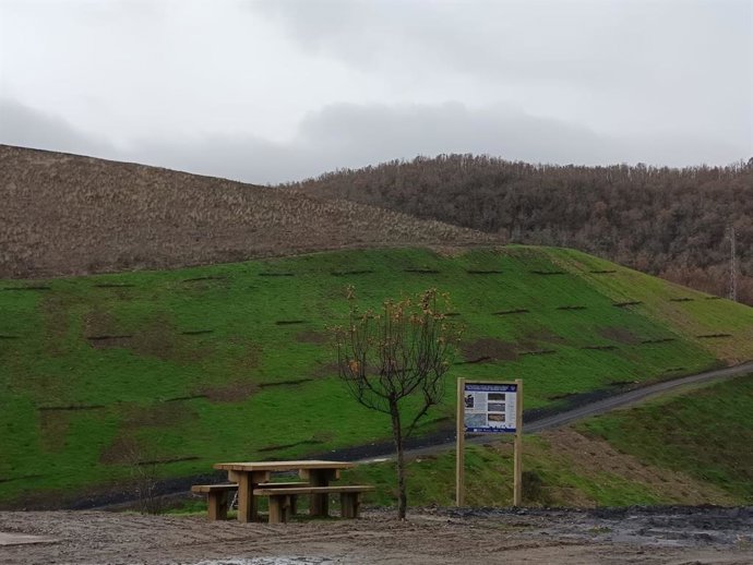 Imagen de la zona restaurada por parte del Miteco en terrenos degradados por la minería del carbón a cielo abierto en los municipios leoneses de Torre del Bierzo y Villagatón (León).