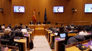 El Congreso acoge una jornada sobre la progresión silenciosa de la esclerosis mú