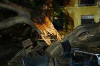 Sevilla, la provincia andaluza que más incidencias registra este lunes con una treintena, la mayoría por anegaciones