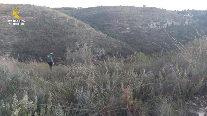 Búsqueda en Pedralba