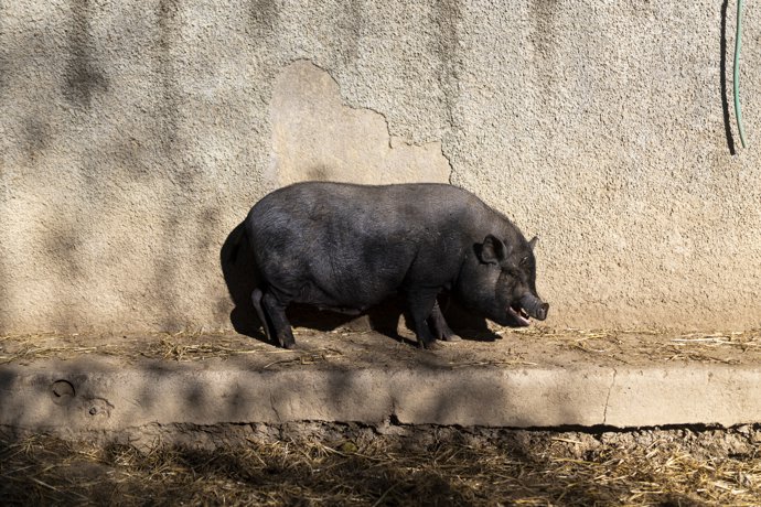 Vídeo de la noticia