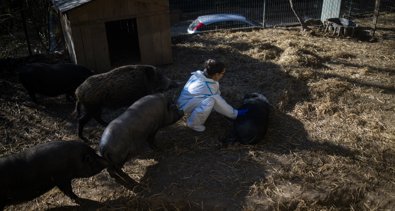 EpAgro - Agricultura