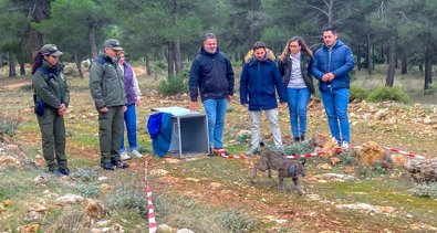 Es Andalucía - Granada