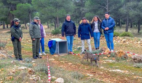 Es Andalucía - Granada