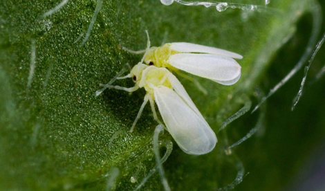 Comunicados Empresas