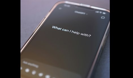 notibrasil sociedade