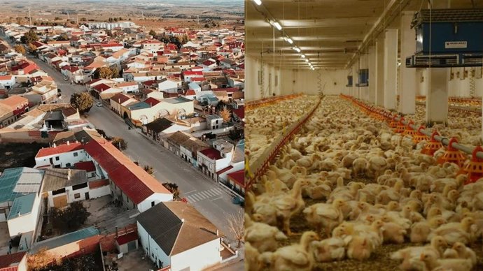Montaje sobre la futura explotación avícola en El Herrumblar.