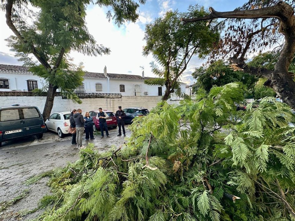 Caída de ramas por el viento en calle Boquetillo en Fuengirola