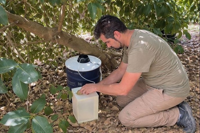 Análisis de Virus del Nilo en muestras