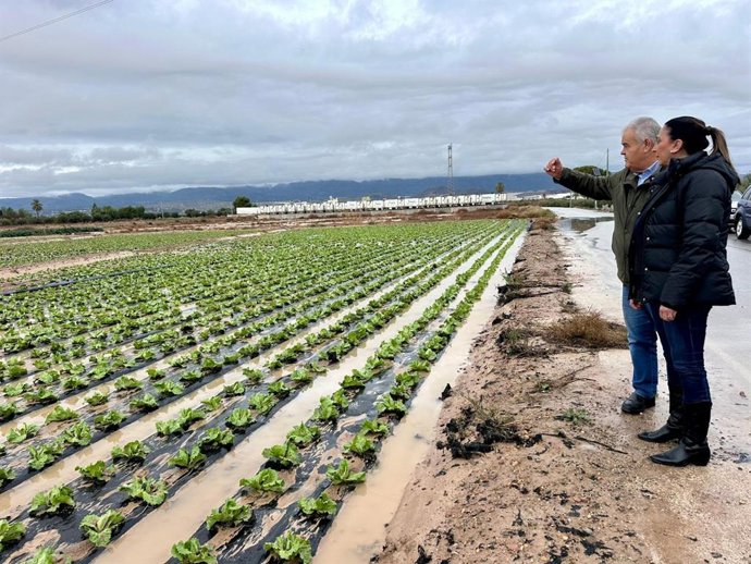 La consejera Sara Rubira junto al alcalde de Totana, Juan Pagán, en uno de los campos de hortalizas anegados por las lluvias del pasado domingo