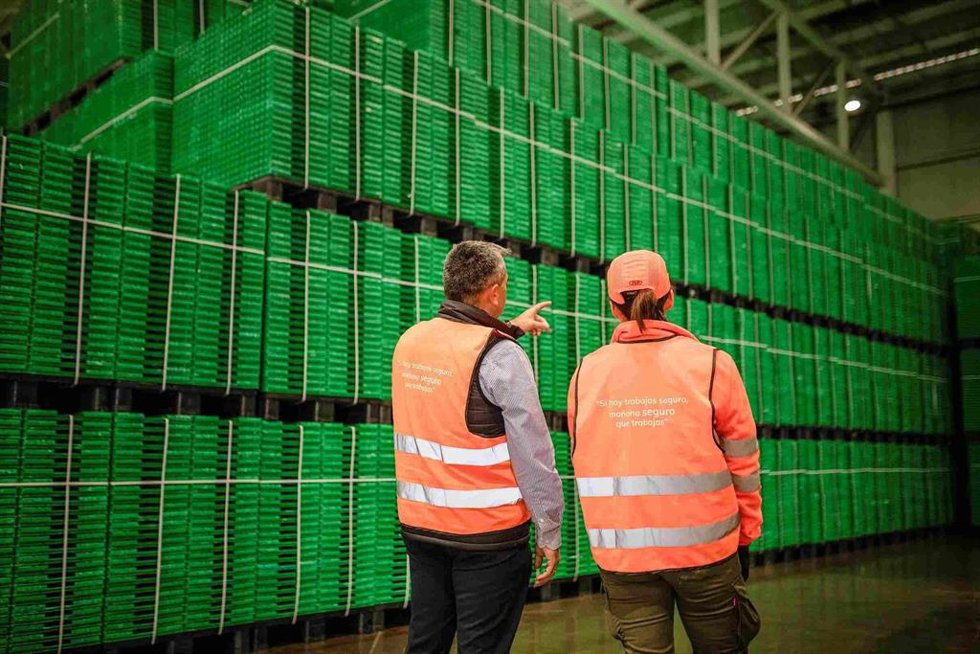 Archivo - Empresa Logifruit