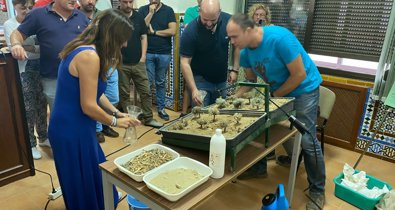 Es Andalucía - Sevilla