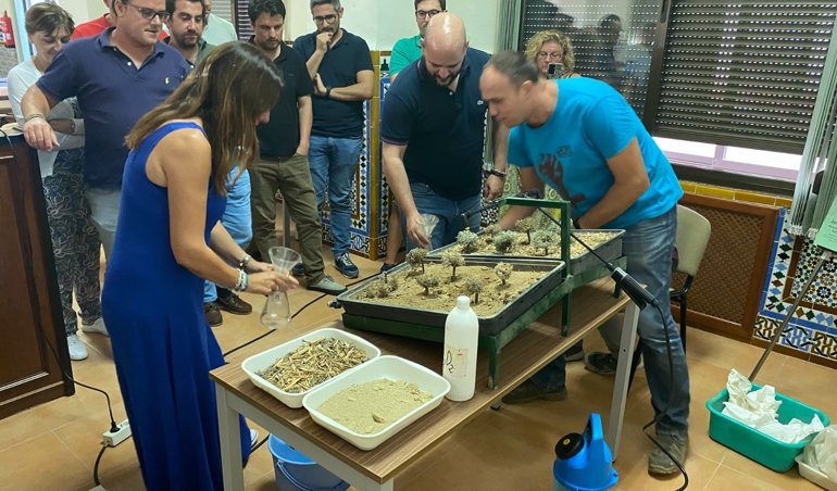 Es Andalucía - Sevilla