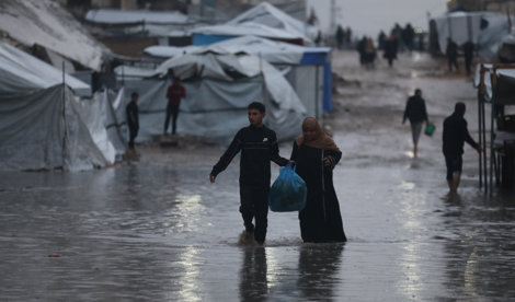 notibrasil sociedade