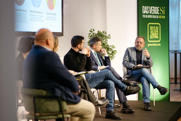 Expertos piden "certidumbre regulatoria" para impulsar el sector del gas verde en España