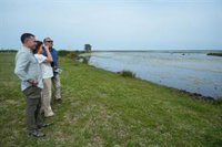 Andalucía requiere al Gobierno que atienda las alegaciones y retire el deslinde aprobado para Doñana