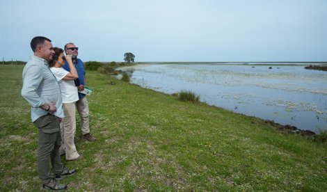 Es Andalucía - Sevilla