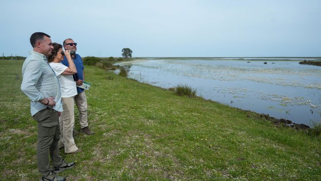 Es Andalucía - Sevilla