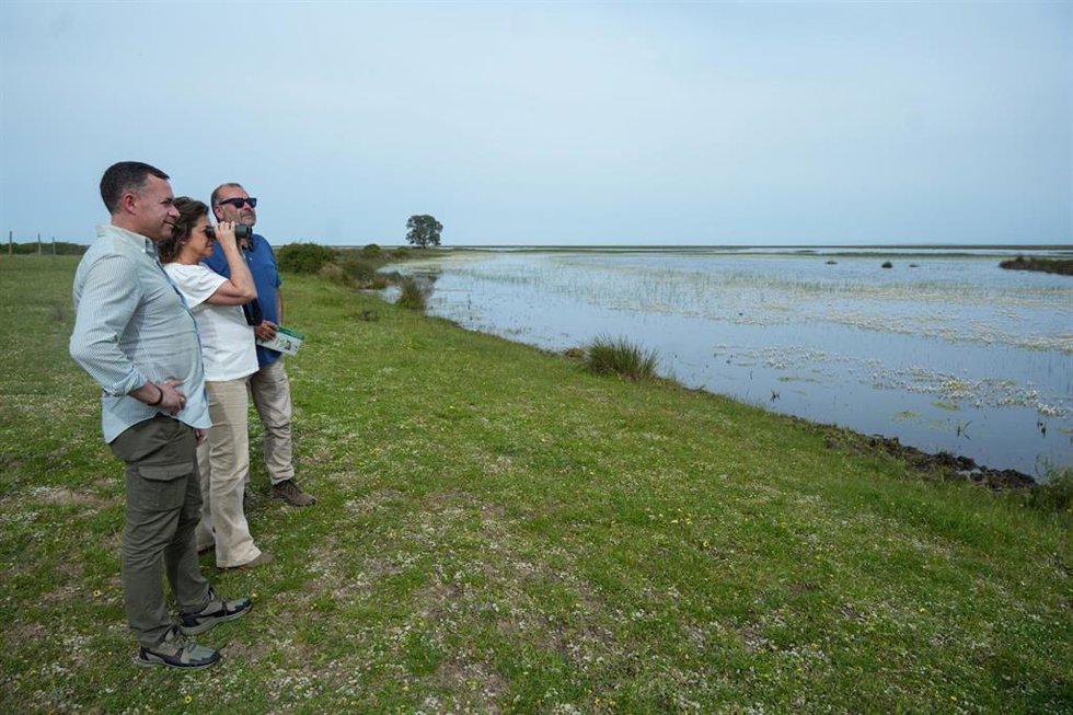 Archivo - La consejera de Sostenibilidad y Medio Ambiente de la Junta de Andalucía, Catalina García, durante una visita al Parque Nacional de Doñana. 