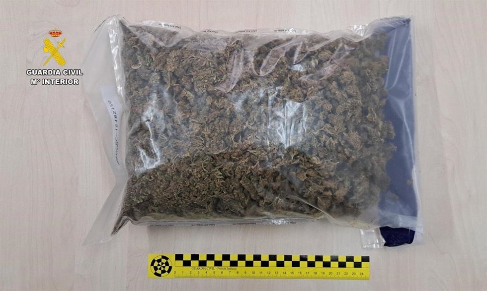 Marihuana aprehendida.