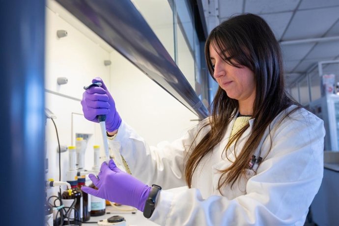 Investigadora del CSIC