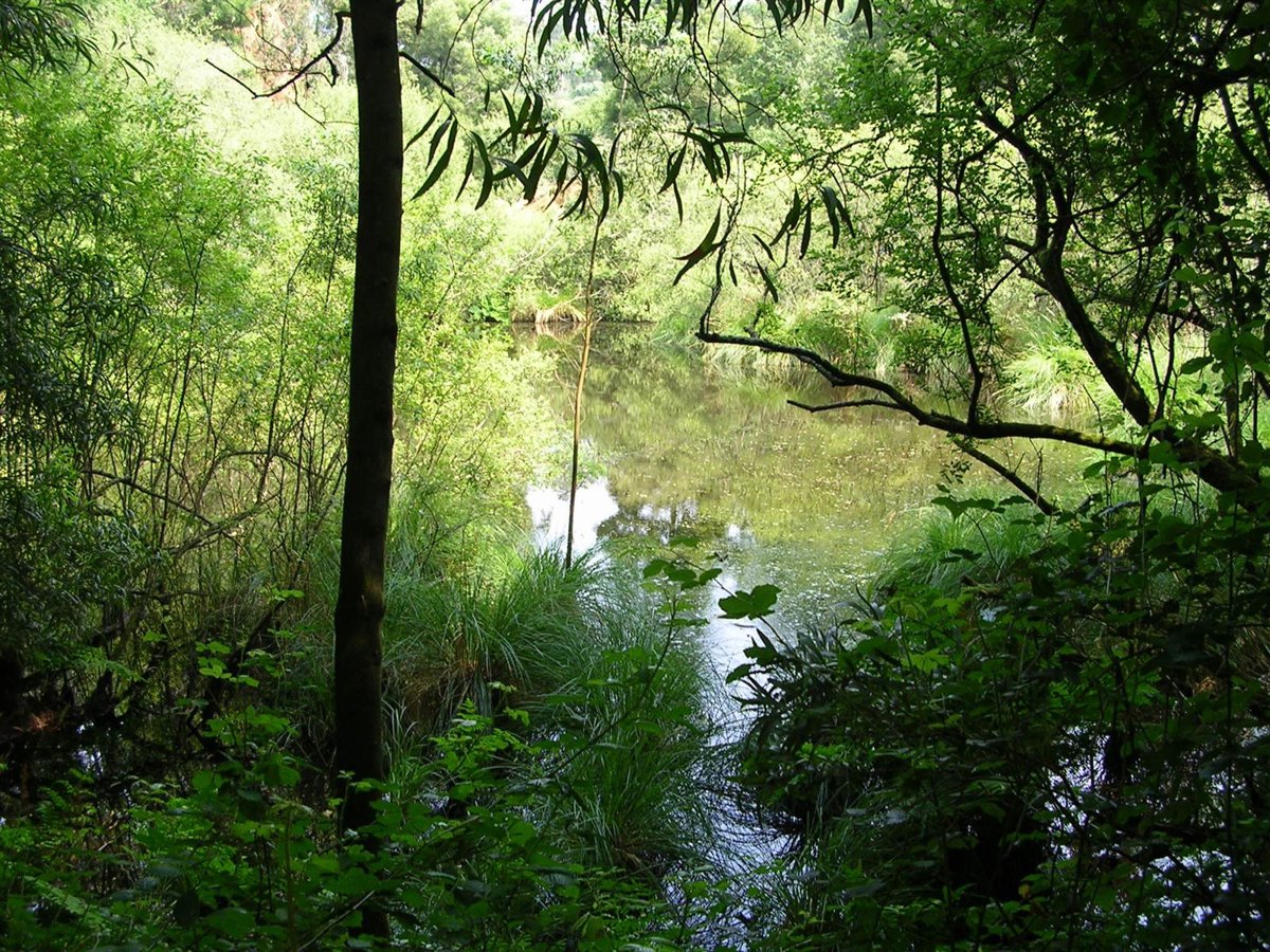 Black Dragon Gold pasa a llamarse EMC Gold debido al creciente capital asturiano en su accionariado