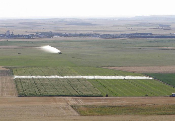 Archivo - Vista general de tierras de cultivos de Castilla y León