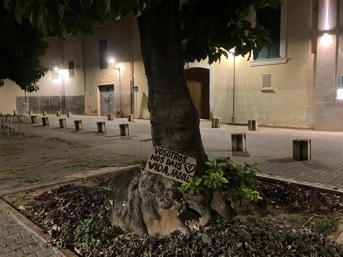 Cartel colocado por los vecinos en uno de los ejemplares de bellasombras de la plaza Llorenç Villalonga de Palma.